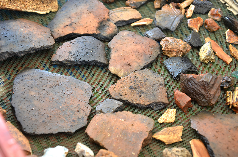 A scatter of pottery fragments on a sieve